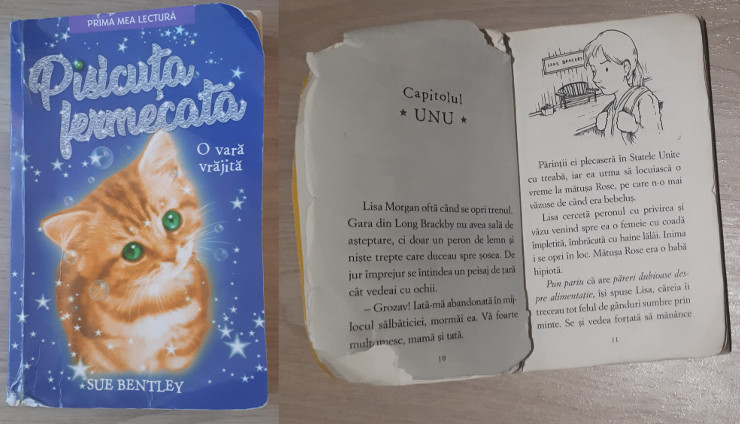 Pisicuța fermecată - Sue Bentley